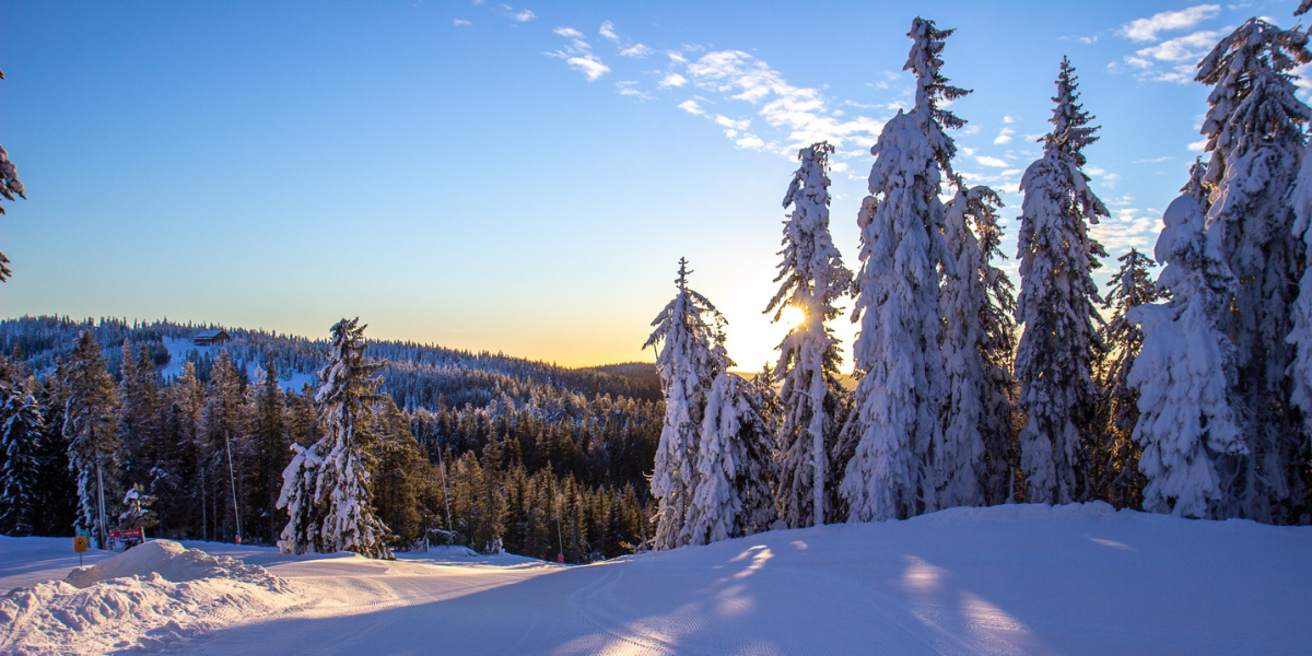 Romme Alpin